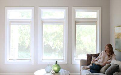 How Window Replacement Improves Energy Efficiency and Curb Appeal