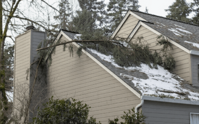 Is Winter Damage Hiding on Your Roof?